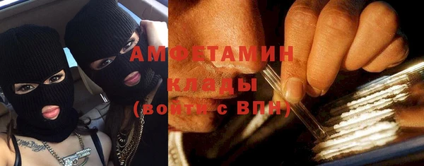крисы Абаза