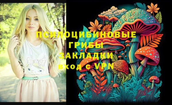 первитин Абинск