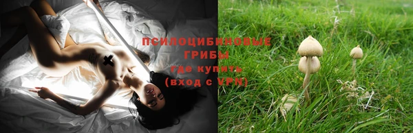 первитин Абинск