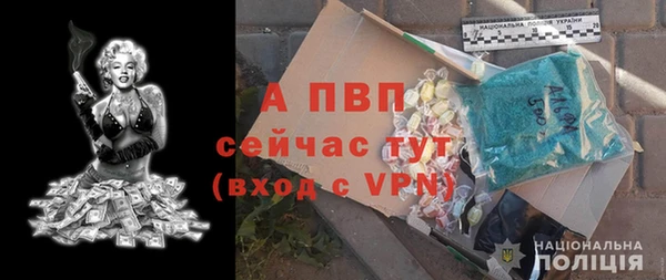 крисы Абаза
