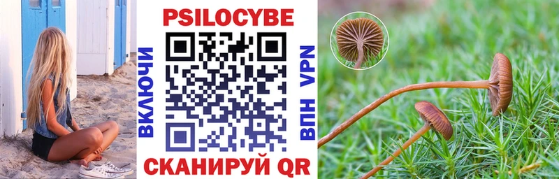 Псилоцибиновые грибы Psilocybe  ссылка на мегу маркетплейс  Барнаул  хочу  