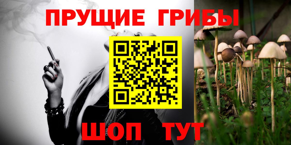 Псилоцибиновые грибы Cubensis  Вход с VPN  Барнаул 