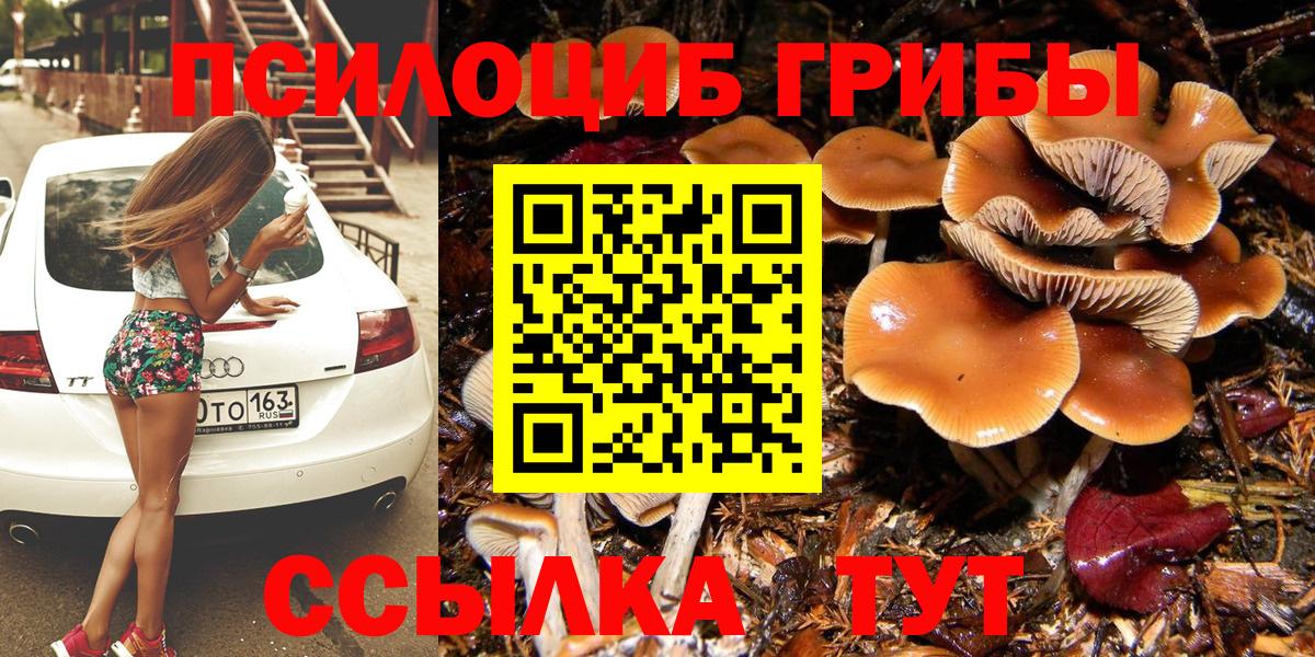 Псилоцибиновые грибы MAGIC MUSHROOMS Барнаул